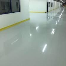 whatsapp image 2025 10 19 at 10.06.57 am (2)